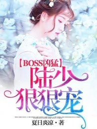 BOSS凶猛：陆少，狠狠宠