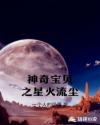 神奇宝贝之星火流尘