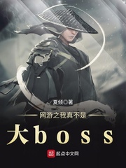 网游之我真不是大boss