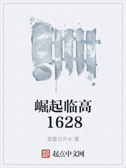 崛起临高1628